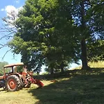 Torre Camigliati Dimora Storica 3*