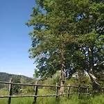 Torre Camigliati Dimora Storica 3*