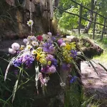 Guest house Torre Camigliati Dimora Storica