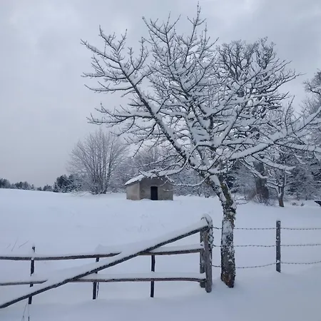 Torre Camigliati Dimora Storica Konukevi Camigliatello Silano