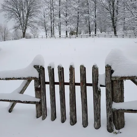 Torre Camigliati Dimora Storica Casa de hóspedes 3*