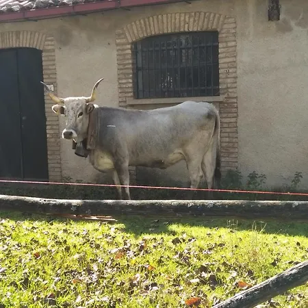 Torre Camigliati Dimora Storica Konukevi 3*