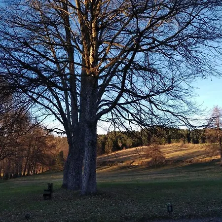 Torre Camigliati Dimora Storica 3* Camigliatello Silano