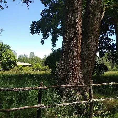 Torre Camigliati Dimora Storica Gasthof 3*