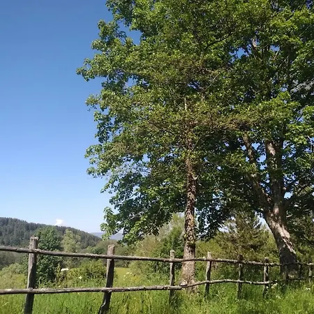 Torre Camigliati Dimora Storica 3*