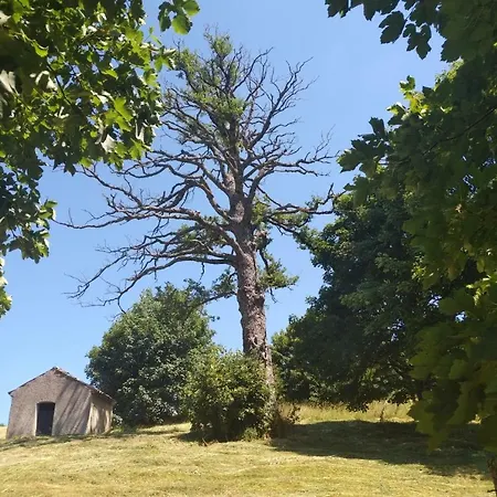 Konukevi Torre Camigliati Dimora Storica 3*