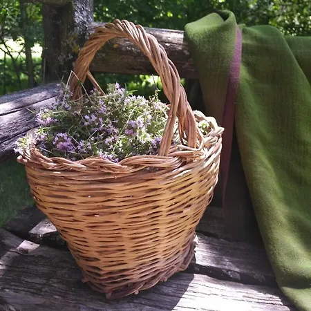 Torre Camigliati Dimora Storica Konukevi