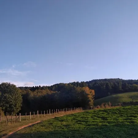 Konukevi Torre Camigliati Dimora Storica 3*