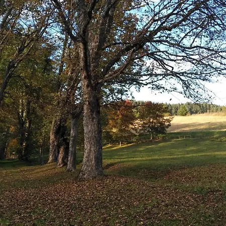 Torre Camigliati Dimora Storica 3*