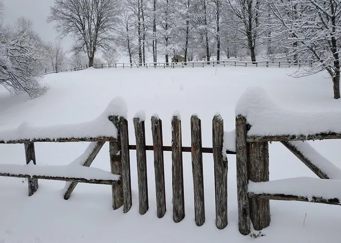 Torre Camigliati Dimora Storica Casa de hóspedes 3*