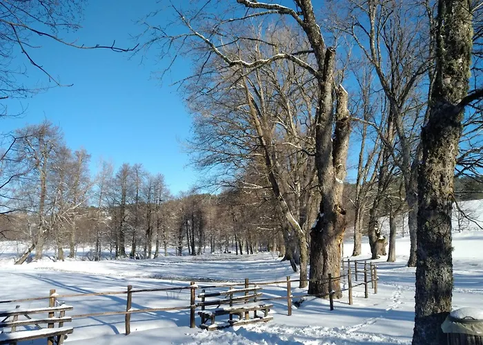 Torre Camigliati Dimora Storica 3* Camigliatello Silano