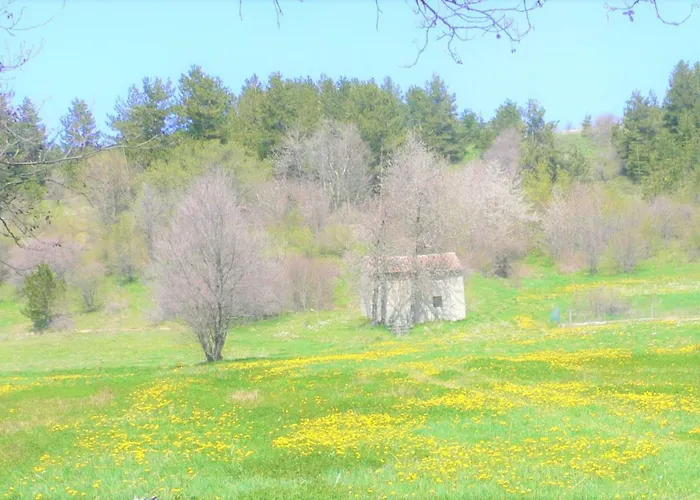 Torre Camigliati Dimora Storica 3* Camigliatello Silano