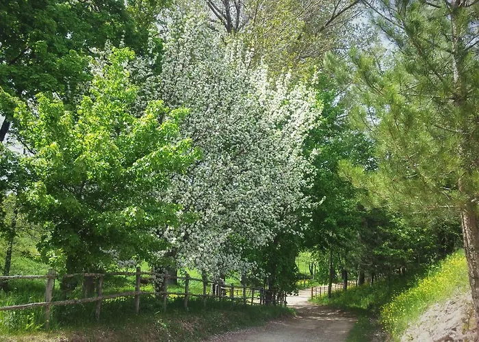 Vendégház Torre Camigliati Dimora Storica 3*