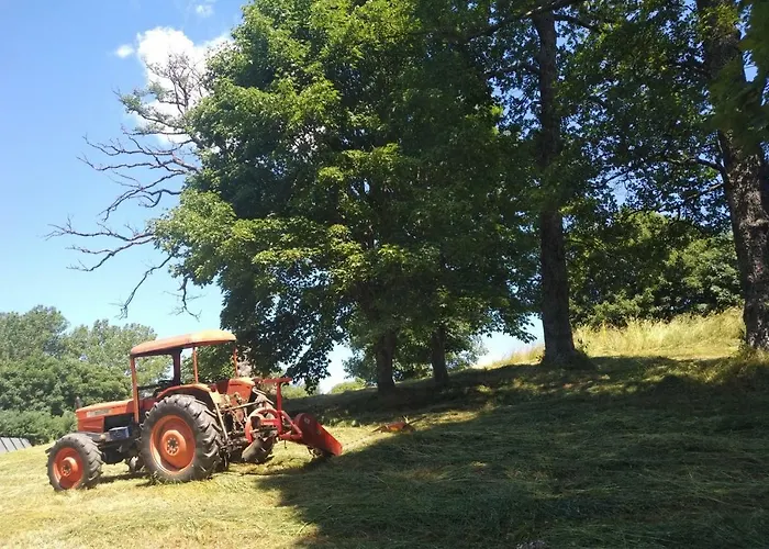 Torre Camigliati Dimora Storica 3*