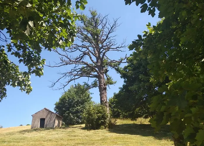 Vendégház Torre Camigliati Dimora Storica 3*
