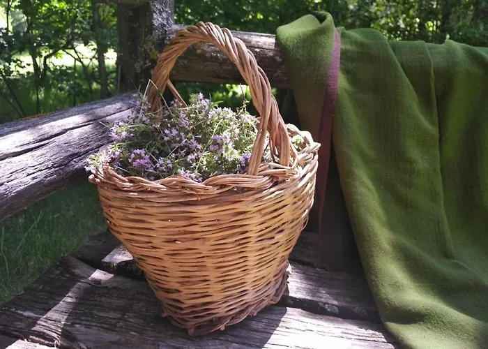 Torre Camigliati Dimora Storica Casa de hóspedes